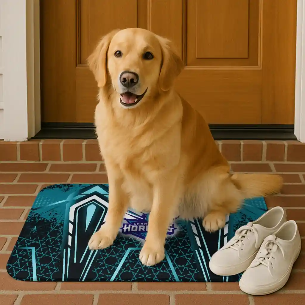 charlotte-hornets-graphic-stripes-teal-doormat-high-quality.webp