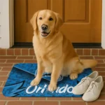orlando-magic-layered-lines-blue-doormat-best-selling.webp
