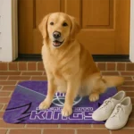 sacramento-kings-layered-lines-purple-doormat-best-selling.webp