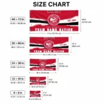 Atlanta Hawks House Flag Customized Brushed Streaks Red Best Selling