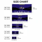 Baltimore Ravens House Flag Customized Brushed Streaks Purple Best Selling
