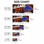 Boise State Broncos House Flag Custom Action Streaks Orange Best Selling