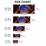 Boise State Broncos House Flag Customized Speed Slashes Orange Best Selling