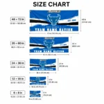 Buffalo Bulls House Flag Customized Brushed Streaks Royal Blue Best Selling
