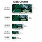 Charlotte 49ers House Flag Custom Diagonal Stripes Green Best Selling