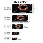 Chicago Bears House Flag Custom Speed Slashes Blue Best Selling