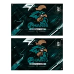 Coastal Carolina Chanticleers House Flag Custom Speed Slashes Green Best Selling