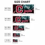 Colgate Raiders House Flag Custom Diagonal Stripes Maroon Best Selling