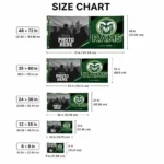 Colorado State Rams House Flag Custom Framed Photo Green Black Best Selling
