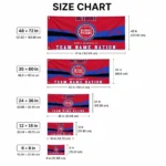 Detroit Pistons House Flag Custom Brushed Streaks Red Best Selling