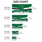 Eastern Michigan Eagles House Flag Custom Brushed Streaks Green Best Selling