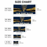 Fiu Panthers House Flag Customized Brushed Streaks Blue Best Selling