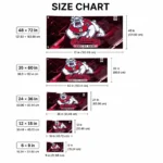 Fresno State Bulldogs House Flag Customized Speed Slashes Red Best Selling
