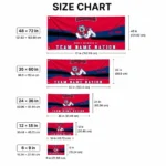 Fresno State Bulldogs House Flag Personalized Brushed Streaks Red Best Selling