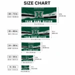 Hawaii Rainbow Warriors House Flag Personalized Brushed Streaks Green Best Selling