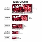 Houston Cougars House Flag Customized Action Streaks Red Best Selling