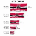 Houston Rockets House Flag Personalized Brushed Streaks Red Best Selling