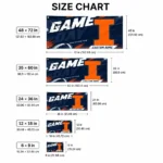 Illinois Fighting Illini House Flag Custom Action Streaks Blue Best Selling