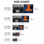 Illinois Fighting Illini House Flag Customized Framed Photo Blue Black Best Selling