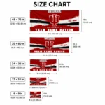 Indiana Hoosiers House Flag Customized Brushed Streaks Red Best Selling