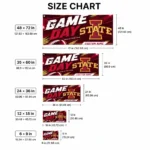 Iowa State Cyclones House Flag Custom Action Streaks Red Best Selling