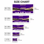 James Madison Dukes House Flag Custom Brushed Streaks Purple Best Selling