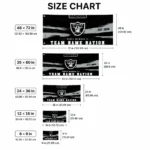Las Vegas Raiders House Flag Custom Brushed Streaks Black Best Selling