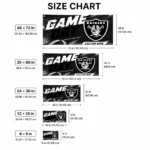 Las Vegas Raiders House Flag Customized Action Streaks Black Best Selling