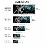 Las Vegas Raiders House Flag Customized Diagonal Stripes Black Best Selling