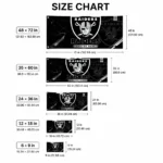 Las Vegas Raiders House Flag Personalized Speed Slashes Black Best Selling