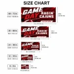 Louisiana Ragin Cajuns House Flag Custom Action Streaks Red Best Selling