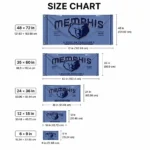 Memphis Grizzlies House Flag Custom Ornate Border Blue Best Selling