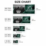 Michigan State Spartans House Flag Custom Framed Photo Green Black Best Selling