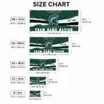 Michigan State Spartans House Flag Customized Brushed Streaks Green Best Selling