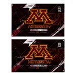 Minnesota Golden Gophers House Flag Personalized Speed Slashes Maroon Best Selling