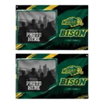 North Dakota State Bison House Flag Custom Framed Photo Green Black Best Selling