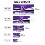 Northwestern Wildcats House Flag Custom Brushed Streaks Purple Best Selling