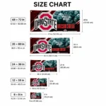 Ohio State Buckeyes House Flag Custom Diagonal Stripes Scarlet Best Selling
