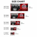 Ohio State Buckeyes House Flag Customized Framed Photo Scarlet Black Best Selling