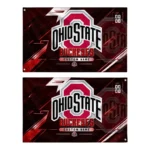 Ohio State Buckeyes House Flag Customized Speed Slashes Scarlet Best Selling