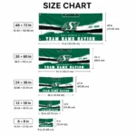 Saskatchewan Roughriders House Flag Custom Brushed Streaks Green Best Selling