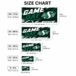 Saskatchewan Roughriders House Flag Customized Action Streaks Green Best Selling