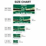 South Florida Bulls House Flag Customized Brushed Streaks Green Best Selling