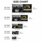 Southern Miss Golden Eagles House Flag Customized Framed Photo Black Best Selling