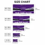 Tcu Horned Frogs House Flag Personalized Brushed Streaks Purple Best Selling