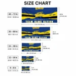 Toledo Rockets House Flag Customized Brushed Streaks Blue Best Selling