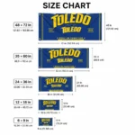 Toledo Rockets House Flag Customized Ornate Border Blue Best Selling