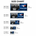 Toronto Blue Jays House Flag Personalized Framed Photo Blue Black Best Selling