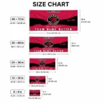 Toronto Raptors House Flag Customized Brushed Streaks Red Best Selling