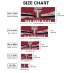 Troy Trojans House Flag Custom Brushed Streaks Red Best Selling